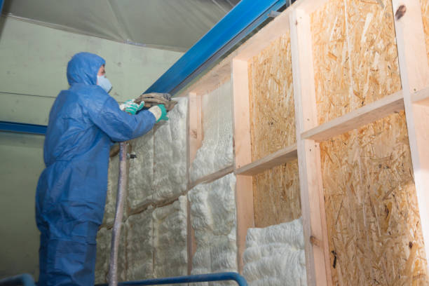 Best Attic Insulation Installation  in Bardstown, KY